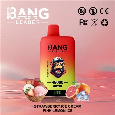 Bang Leader Vape 45k Puffs
